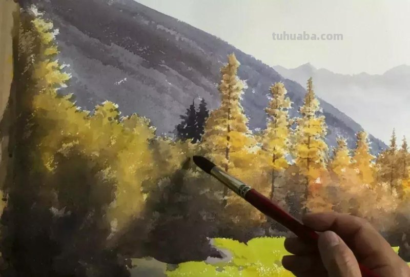 零基础小白喜爱的水彩小教程，毫不犹豫的收藏了