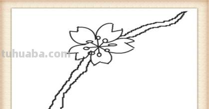 桃花怎么画 彩铅 步骤 怎样画桃花的基本结构图步骤? 桃花怎么画 彩铅 步骤 怎样画桃花的基本结构图步骤?