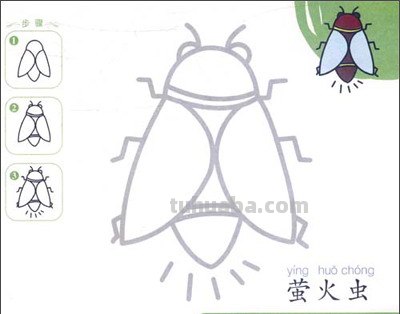 一画就会·儿童简笔画系列:动物1的目录 一画就会·儿童简笔画系列:动物1的目录