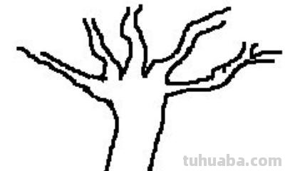 简笔画树根怎么画 如何用马克笔画树和树根? 简笔画树根怎么画 如何用马克笔画树和树根?