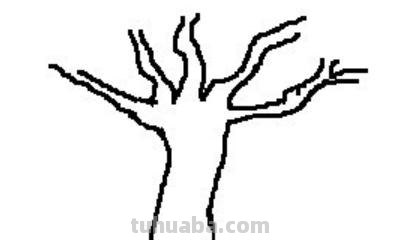 简笔画树根怎么画 如何用马克笔画树和树根? 简笔画树根怎么画 如何用马克笔画树和树根?