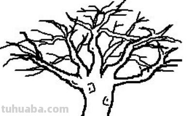 简笔画树根怎么画 如何用马克笔画树和树根? 简笔画树根怎么画 如何用马克笔画树和树根?