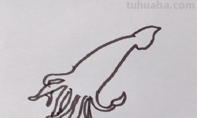 深海巨型乌贼怎么画 深海巨型乌贼怎么画