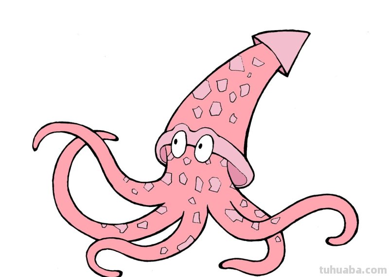 乌贼的简笔画是什么颜色 乌贼的简笔画是什么颜色