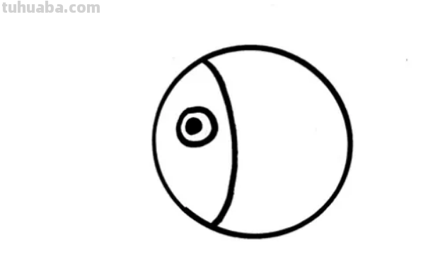 海洋生物怎么画 海洋生物怎么画