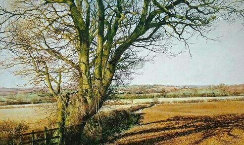 精美写实风景水彩画｜英国Martin.Taylor作品