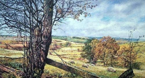 精美写实风景水彩画｜英国Martin.Taylor作品