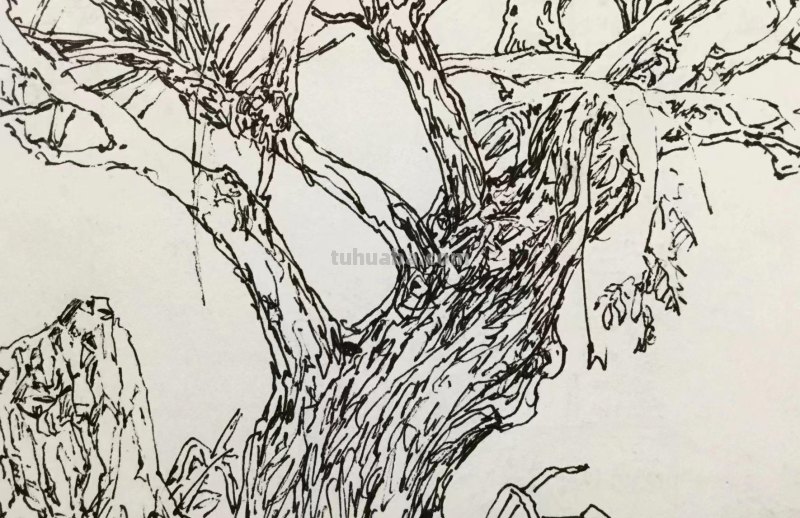 《长春伊通河•园林采风》-郑仁安速写作品欣赏