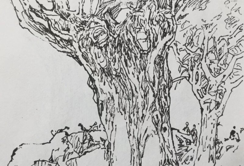 《长春伊通河•园林采风》-郑仁安速写作品欣赏