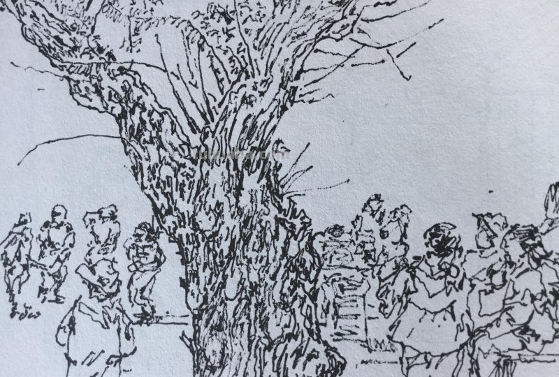 《长春伊通河•园林采风》-郑仁安速写作品欣赏