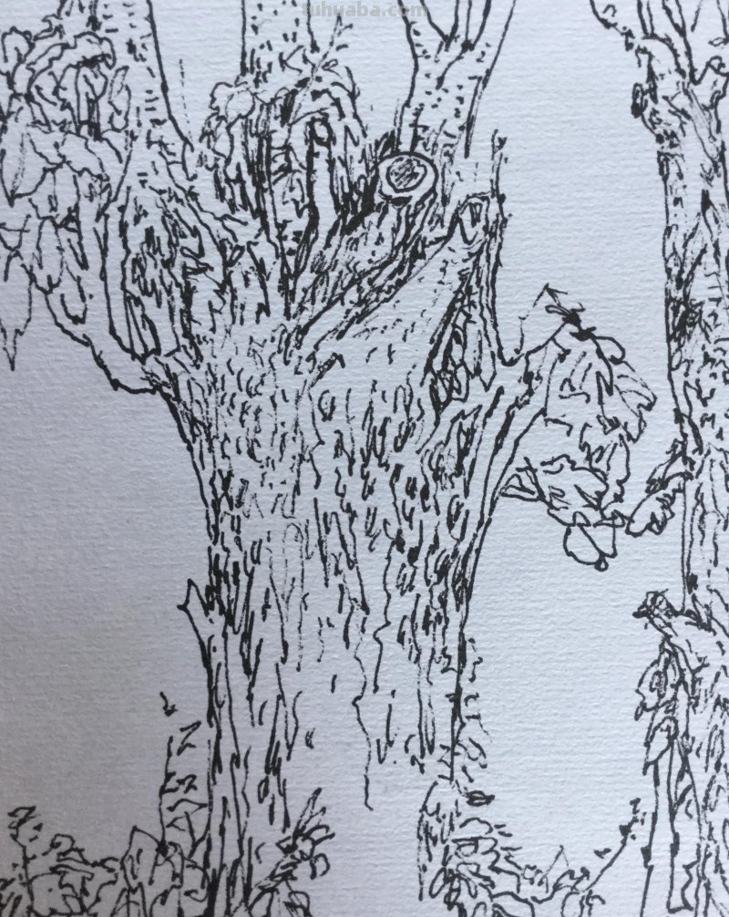 《长春伊通河•园林采风》-郑仁安速写作品欣赏