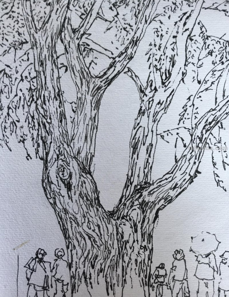 《长春伊通河•园林采风》-郑仁安速写作品欣赏