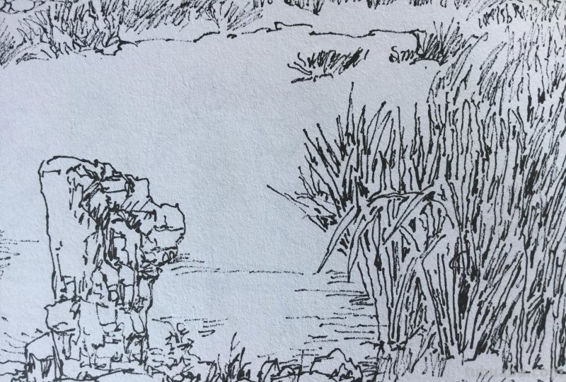 《长春伊通河•园林采风》-郑仁安速写作品欣赏