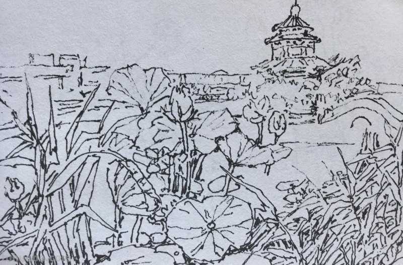 《长春伊通河•园林采风》-郑仁安速写作品欣赏