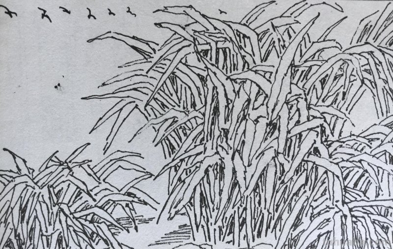 《长春伊通河•园林采风》-郑仁安速写作品欣赏