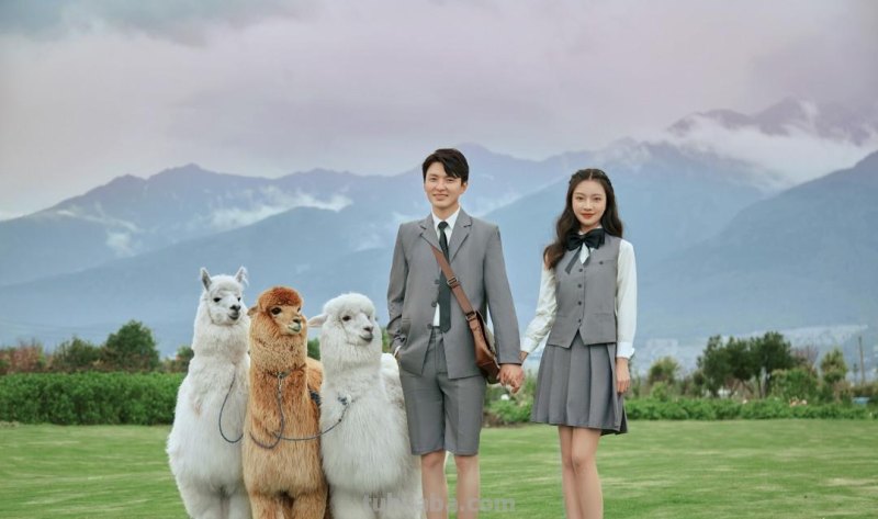 拍婚纱照不会摆pose？七个万能姿势让你拍照秒出片