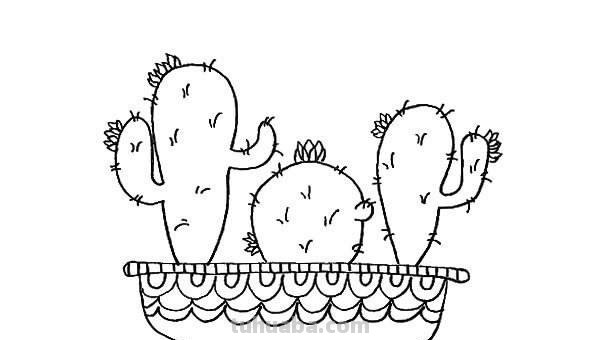 仙人掌的简单画法