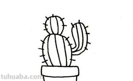 仙人掌的简笔画怎么画?