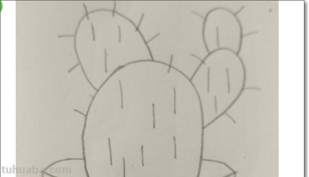 仙人掌怎么画