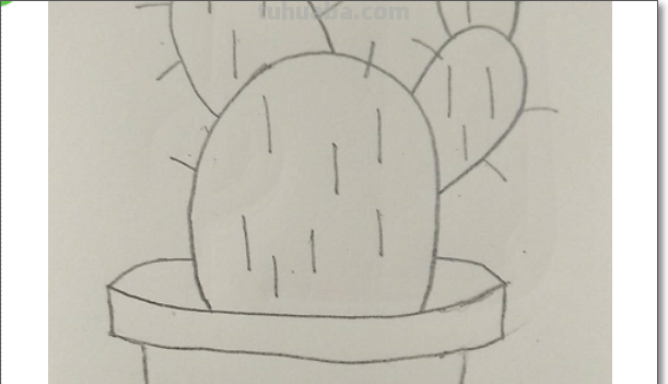 仙人掌怎么画