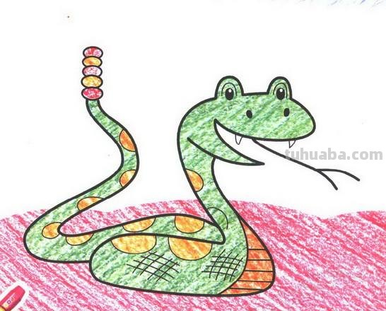 简笔画蛇怎么画 如何画蛇蛇简笔画步骤图? 简笔画蛇怎么画 如何画蛇蛇简笔画步骤图?