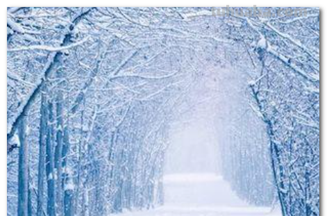 消防员雪天在空地踩出一辆简笔画版“消防车”,你印象深刻的雪地画是什么...