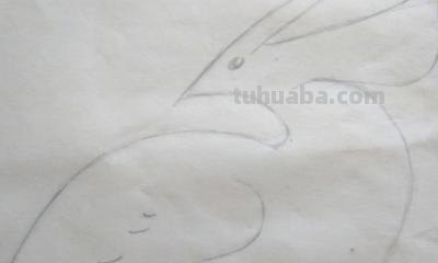 小鸟怎么画 彩铅图片 一步一步教你画小鸟? 小鸟怎么画 彩铅图片 一步一步教你画小鸟?