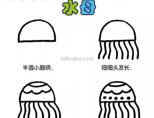 水母怎么画漂亮又简单