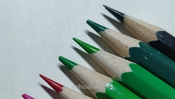 彩铅画什么最美丽 彩铅画，手绘樱花树？