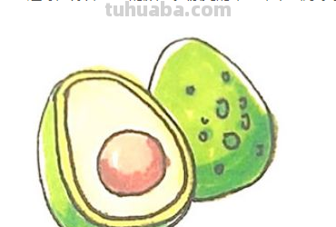 牛油果怎么画 牛油果怎么画