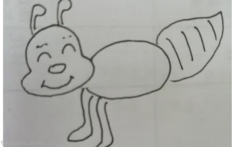 昆虫怎么画简笔画