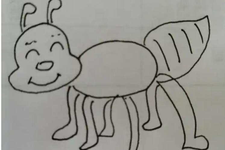 昆虫怎么画简笔画