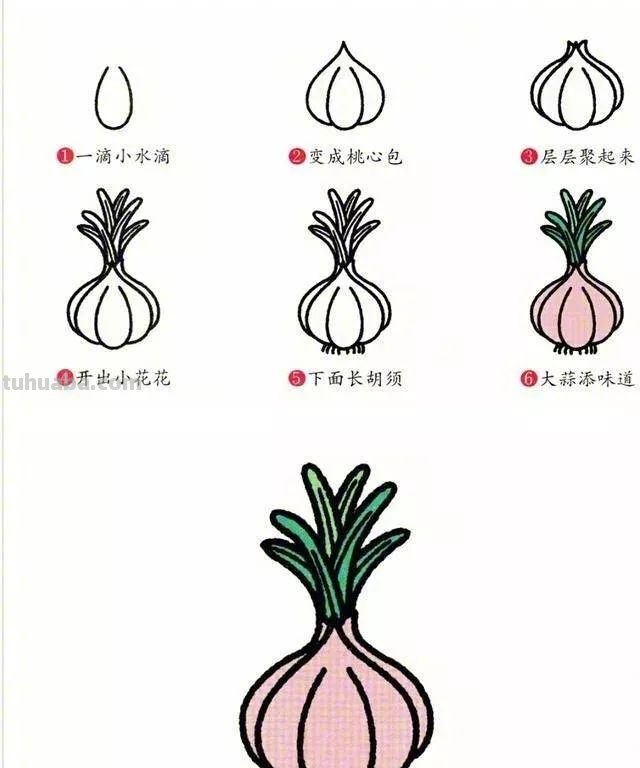 每天学一幅简笔画-一笔一画教你画蔬菜简笔画