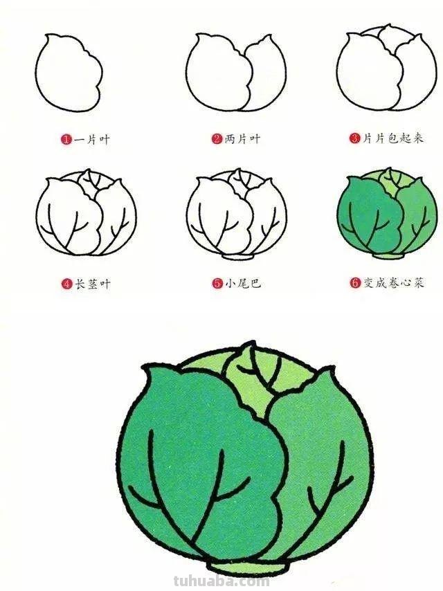 每天学一幅简笔画-一笔一画教你画蔬菜简笔画