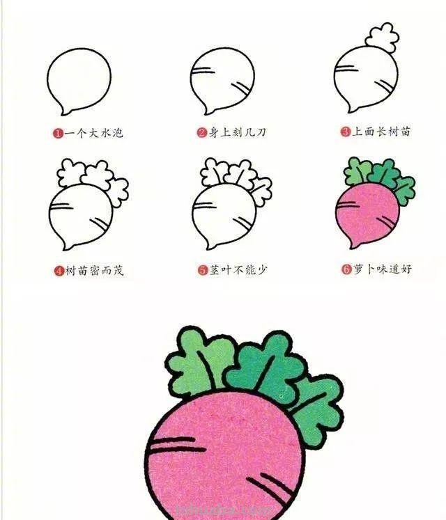 每天学一幅简笔画-一笔一画教你画蔬菜简笔画