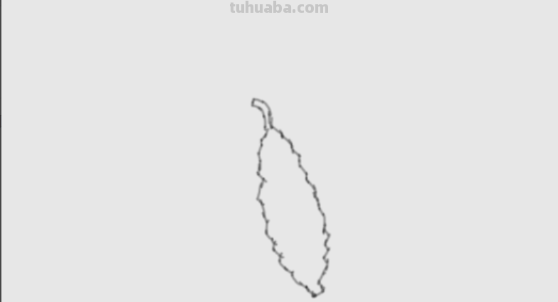 请问素描苦瓜怎么画?