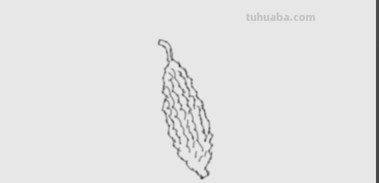 请问素描苦瓜怎么画?