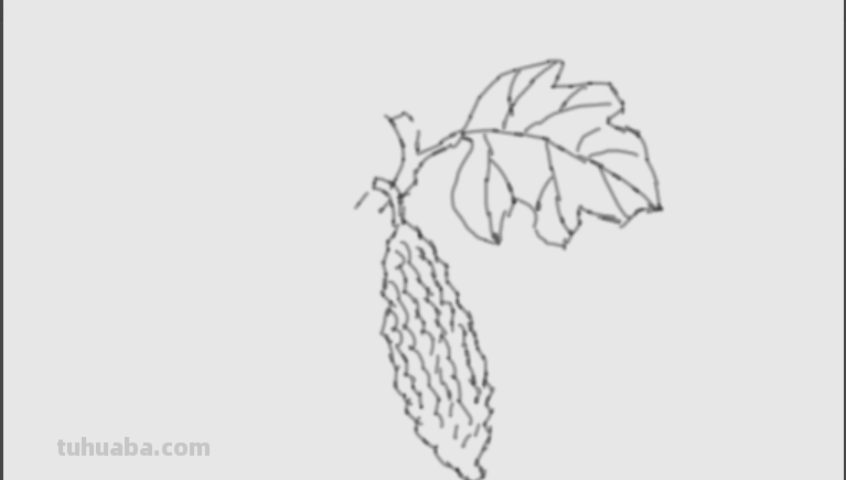 请问素描苦瓜怎么画?