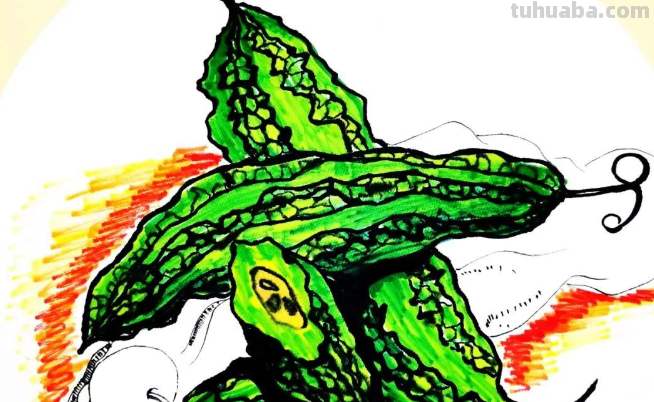 苦瓜怎么画