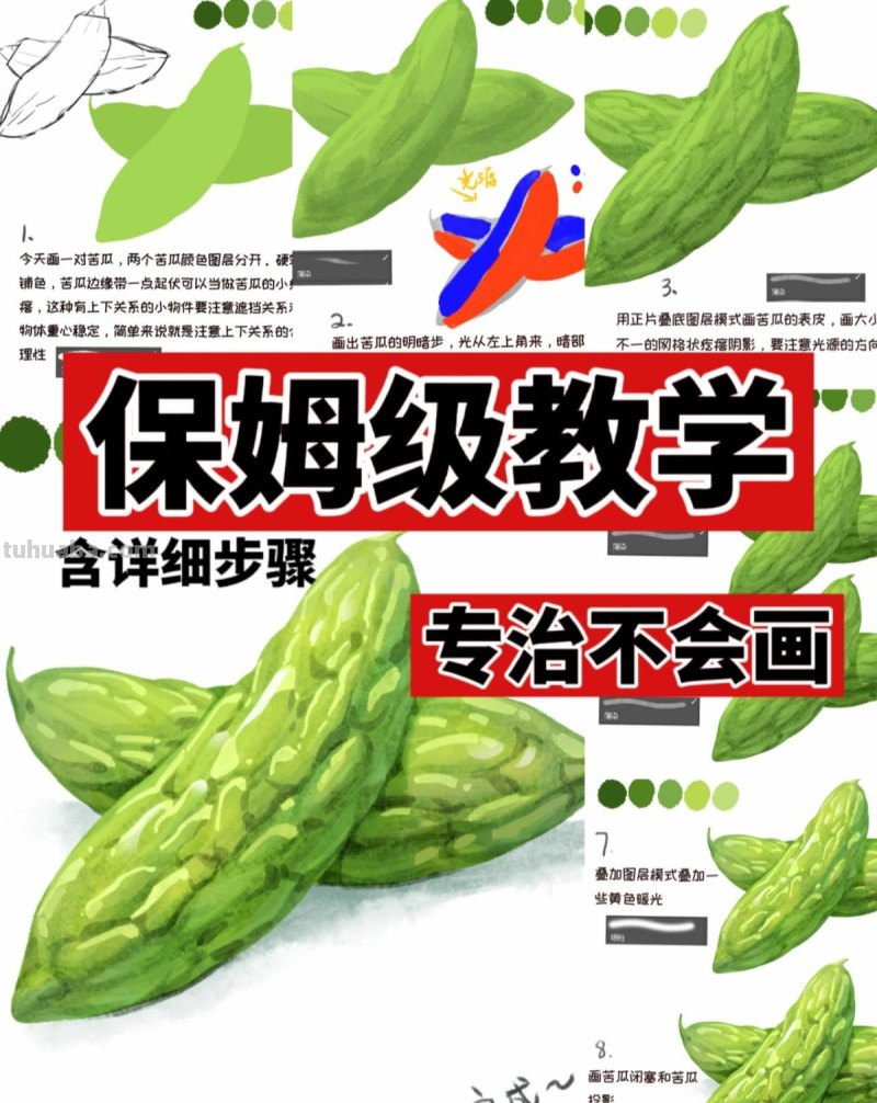 【插画教程】教你画苦瓜
