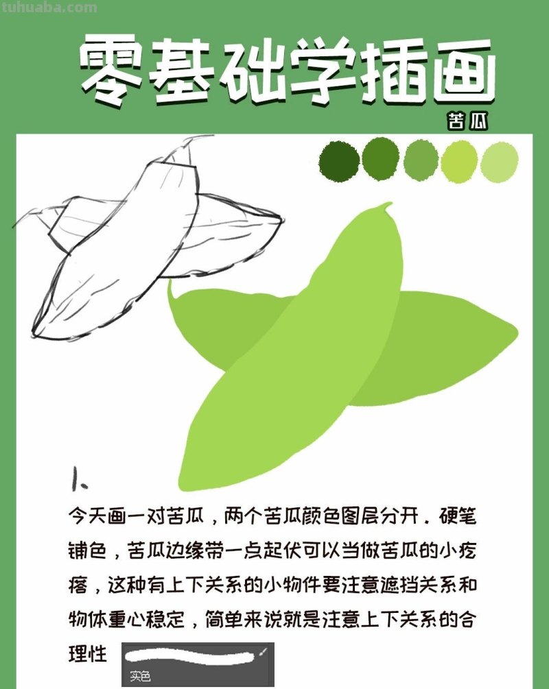 【插画教程】教你画苦瓜