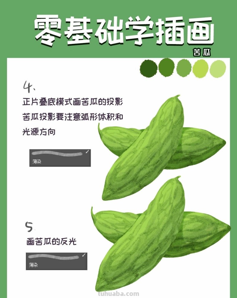 【插画教程】教你画苦瓜