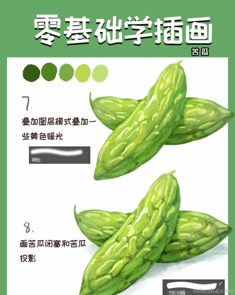 【插画教程】教你画苦瓜