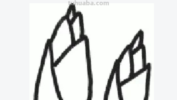 蔬菜怎么画图片