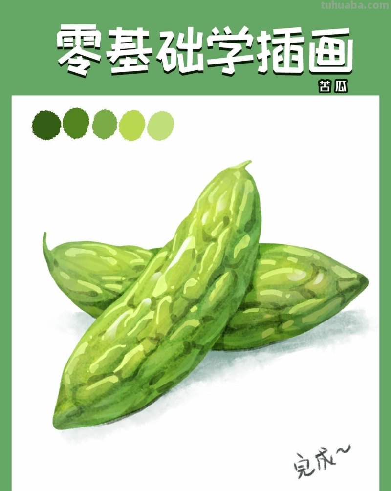 【插画教程】教你画苦瓜