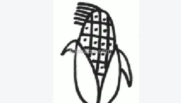 蔬菜怎么画图片