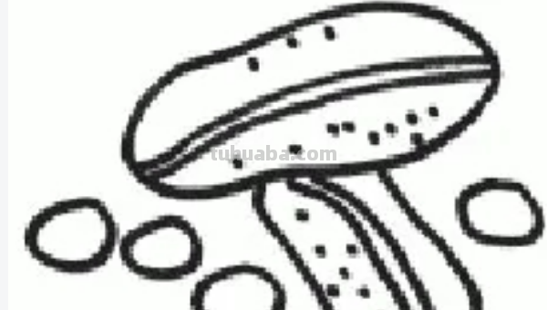 蔬菜怎么画图片