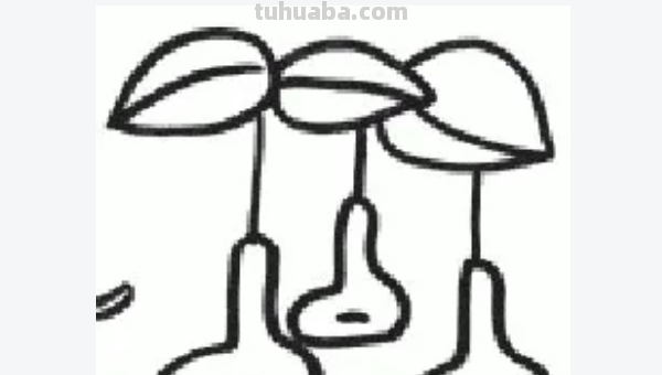 蔬菜怎么画图片