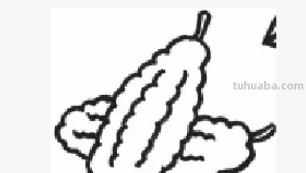 蔬菜怎么画图片