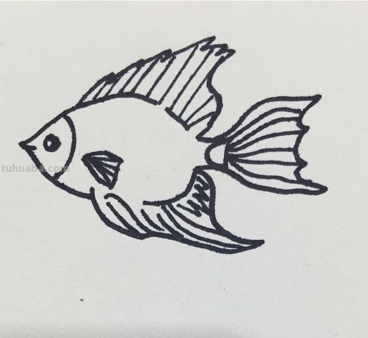 孩子还在画一种鱼？简单的简笔画鱼丰富孩子的素材库